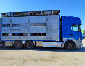 Scania R500, Pezzaioli, 3-stock, lifting roof livestock truck