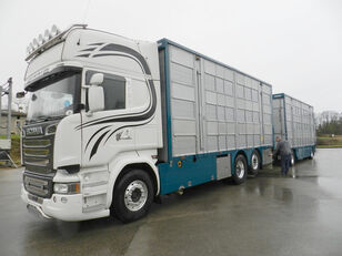 SCANIA R 730 V8 For cattle transport livestock truck + livestock trailer